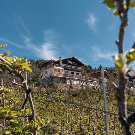 Malgorerhof Lavendel Lägenhet San Genesio Atesino Exteriör bild